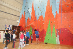 Climbing Wall Images